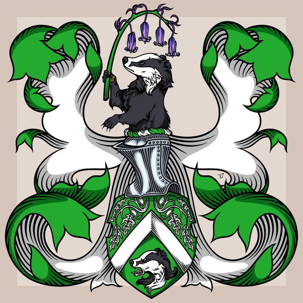 HDTin's Arms