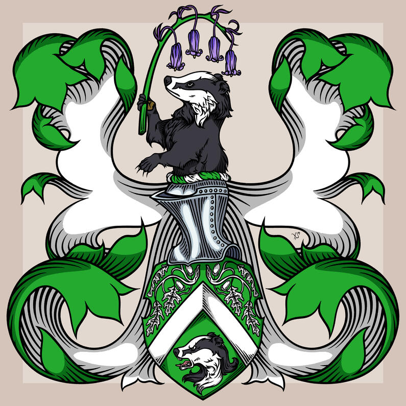 HDTin's Arms